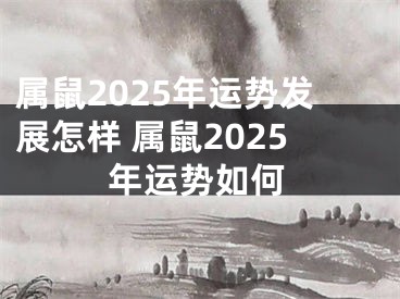 属鼠2025年运势发展怎样 属鼠2025年运势如何