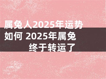 属兔人2025年运势如何 2025年属兔终于转运了