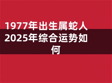 1977年出生属蛇人2025年综合运势如何