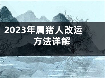 2023年属猪人改运方法详解