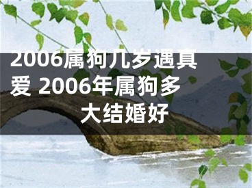 2006属狗几岁遇真爱 2006年属狗多大结婚好