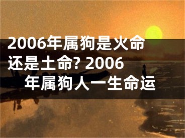 2006年属狗是火命还是土命? 2006年属狗人一生命运