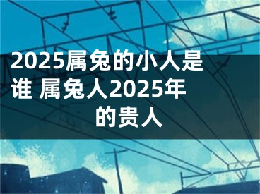 2025属兔的小人是谁 属兔人2025年的贵人