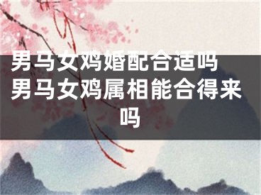 男马女鸡婚配合适吗 男马女鸡属相能合得来吗