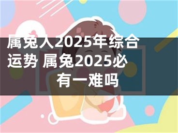 属兔人2025年综合运势 属兔2025必有一难吗