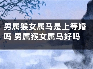 男属猴女属马是上等婚吗 男属猴女属马好吗