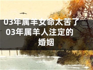 03年属羊女命太苦了 03年属羊人注定的婚姻