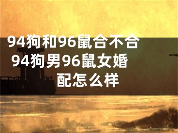 94狗和96鼠合不合 94狗男96鼠女婚配怎么样