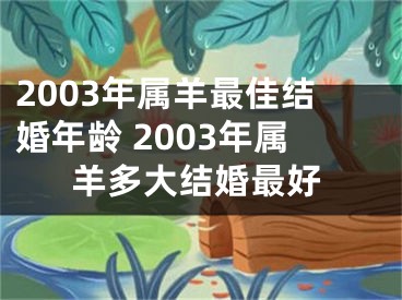 2003年属羊最佳结婚年龄 2003年属羊多大结婚最好