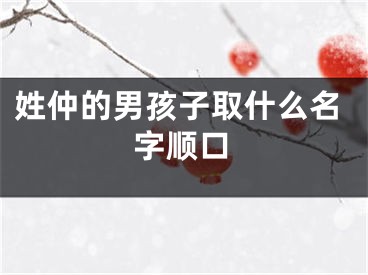 姓仲的男孩子取什么名字顺口
