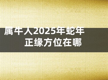 属牛人2025年蛇年正缘方位在哪