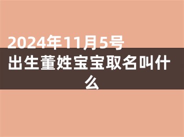 2024年11月5号出生董姓宝宝取名叫什么