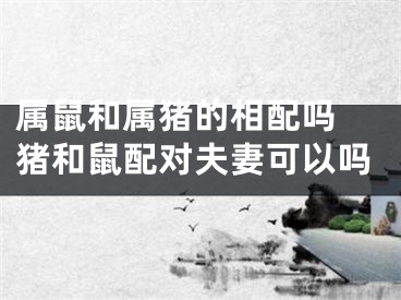 属鼠和属猪的相配吗 猪和鼠配对夫妻可以吗
