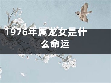 1976年属龙女是什么命运