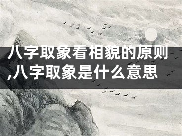 八字取象看相貌的原则,八字取象是什么意思