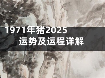 1971年猪2025运势及运程详解