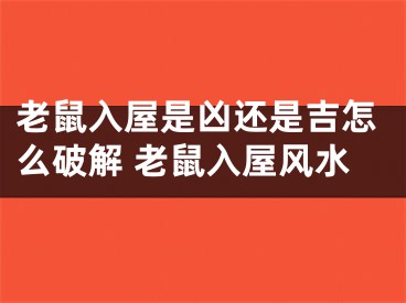 老鼠入屋是凶还是吉怎么破解 老鼠入屋风水