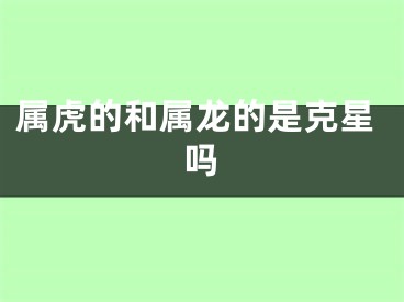 属虎的和属龙的是克星吗
