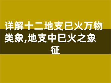 详解十二地支巳火万物类象,地支中巳火之象征