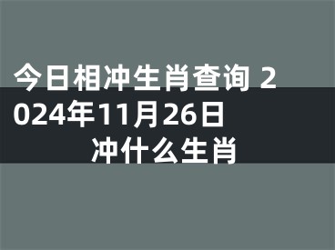 今日相冲生肖查询 2024年11月26日冲什么生肖