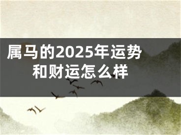 属马的2025年运势和财运怎么样 
