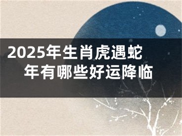 2025年生肖虎遇蛇年有哪些好运降临