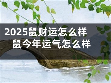 2025鼠财运怎么样 鼠今年运气怎么样