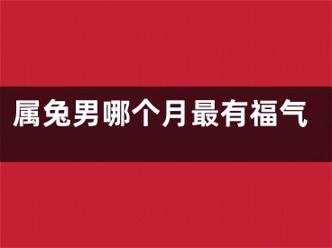 属兔男哪个月最有福气