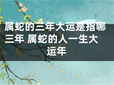 属蛇的三年大运是指哪三年 属蛇的人一生大运年