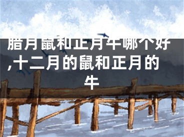 腊月鼠和正月牛哪个好,十二月的鼠和正月的牛