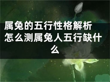 属兔的五行性格解析 怎么测属兔人五行缺什么
