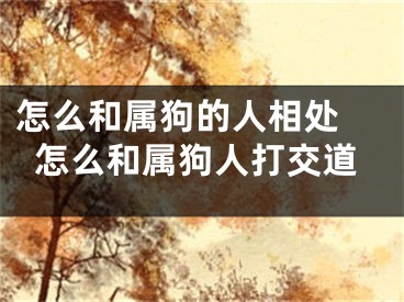 怎么和属狗的人相处 怎么和属狗人打交道