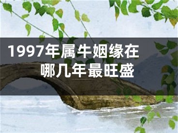 1997年属牛姻缘在哪几年最旺盛