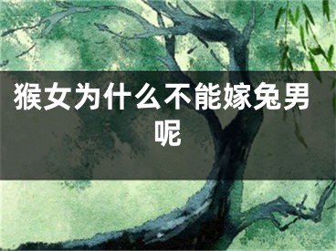 猴女为什么不能嫁兔男呢