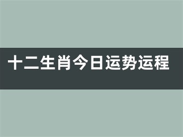 十二生肖今日运势运程