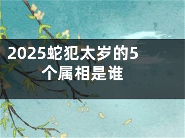 2025蛇犯太岁的5个属相是谁 