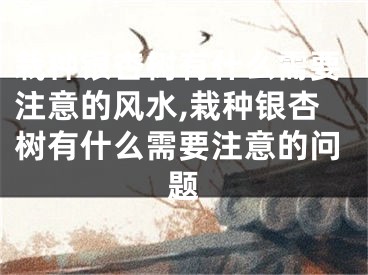 栽种银杏树有什么需要注意的风水,栽种银杏树有什么需要注意的问题