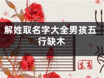解姓取名字大全男孩五行缺木