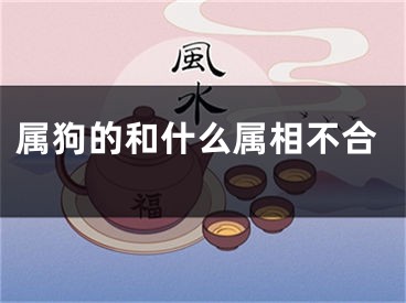 属狗的和什么属相不合