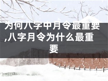 为何八字中月令最重要,八字月令为什么最重要