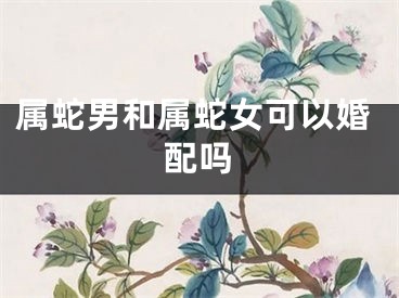属蛇男和属蛇女可以婚配吗