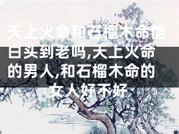 天上火命和石榴木命能白头到老吗,天上火命的男人,和石榴木命的女人好不好
