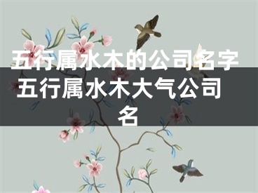 五行属水木的公司名字 五行属水木大气公司名
