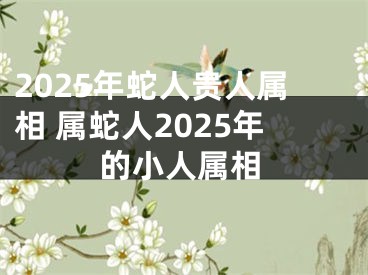2025年蛇人贵人属相 属蛇人2025年的小人属相