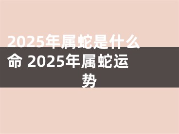 2025年属蛇是什么命 2025年属蛇运势