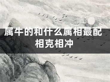 属牛的和什么属相最配相克相冲