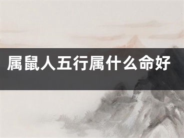 属鼠人五行属什么命好