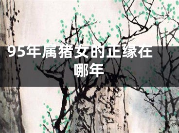 95年属猪女的正缘在哪年