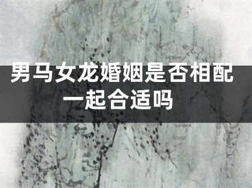 男马女龙婚姻是否相配 一起合适吗