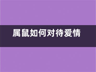 属鼠如何对待爱情